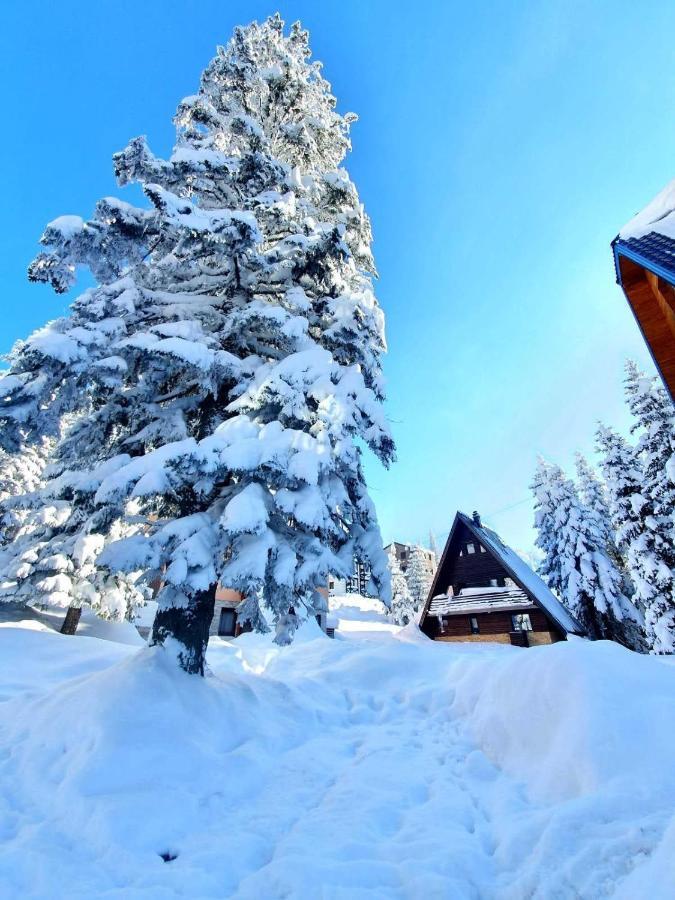 Jahorina 7Lux Lejlighed Eksteriør billede