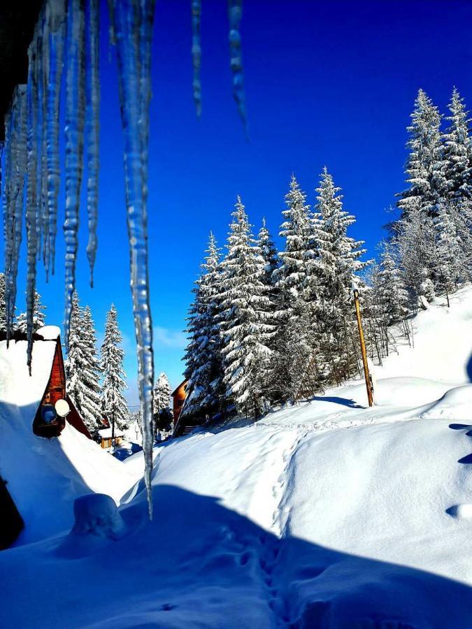 Jahorina 7Lux Lejlighed Eksteriør billede